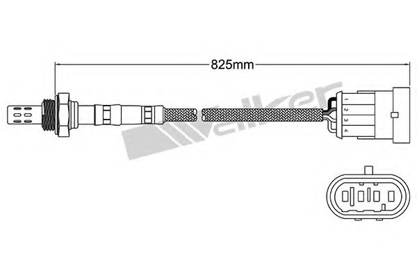 WALKER PRODUCTS 250 241019