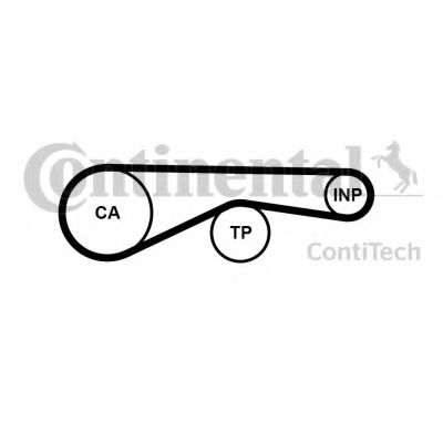 CT1095 CONTITECH Timing Belt