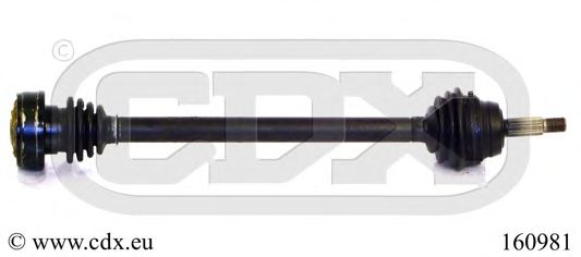 160981 CDX Exhaust Pipe