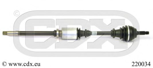 220034 CDX Wheel Brake Cylinder