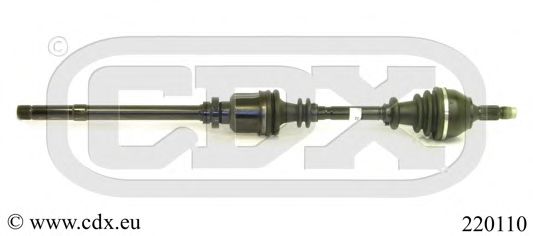 220110 CDX Wheel Brake Cylinder