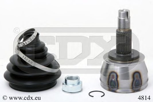 4814 CDX Fuel Supply System Fuel filter