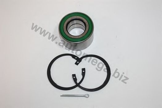 1003280980 AUTOMEGA Wheel Bearing Kit