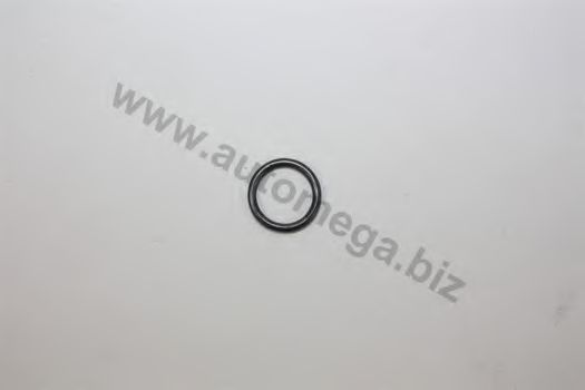101330557035A AUTOMEGA Mixture Formation Seal Ring, injector