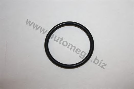 1013360550 AUTOMEGA Cooling System Gasket, thermostat