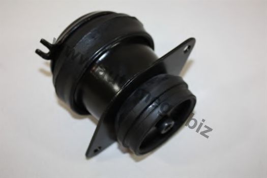 101990262357D AUTOMEGA Engine Mounting