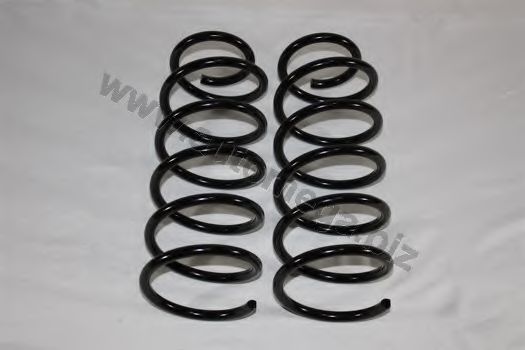 3003120049 AUTOMEGA Coil Spring