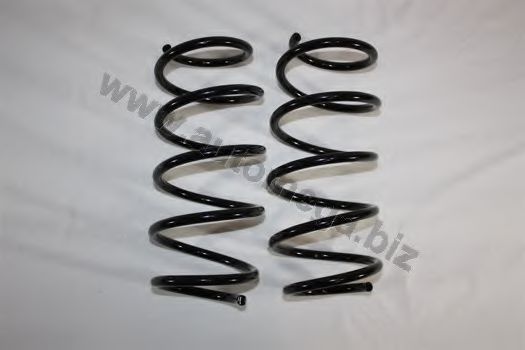 3003120102 AUTOMEGA Coil Spring