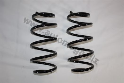 3003120158 AUTOMEGA Coil Spring