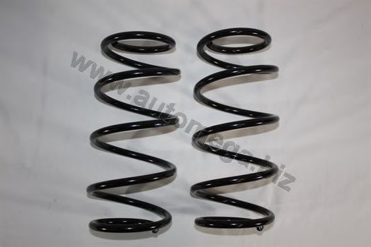 3003120838 AUTOMEGA Coil Spring