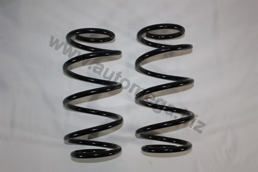 3003120869 AUTOMEGA Coil Spring