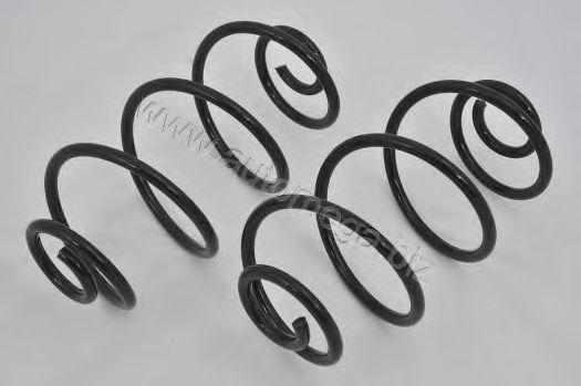 3004240029 AUTOMEGA Coil Spring
