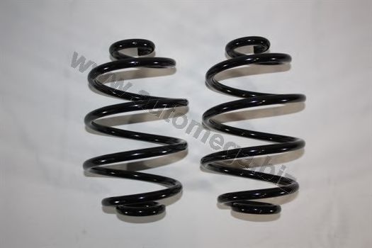 3004240057 AUTOMEGA Coil Spring