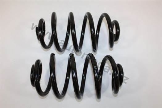 3004240087 AUTOMEGA Coil Spring