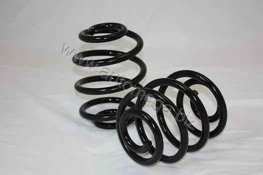 3004240293 AUTOMEGA Coil Spring