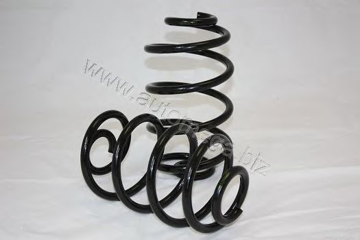 3004240319 AUTOMEGA Coil Spring