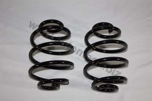 3004240394 AUTOMEGA Coil Spring