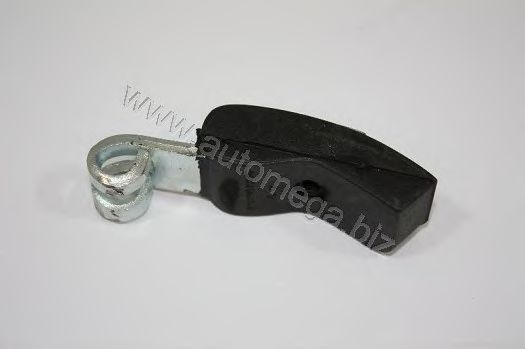 3006360700 AUTOMEGA Guides, timing chain