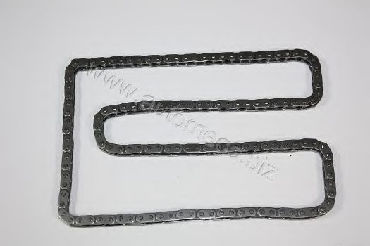 3006370241 AUTOMEGA Timing Chain