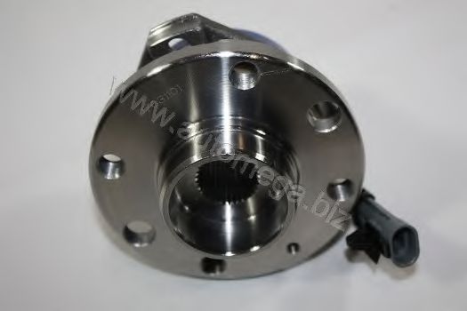 3016030209 AUTOMEGA Wheel Bearing Kit