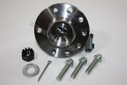 3016030211 AUTOMEGA Wheel Bearing Kit