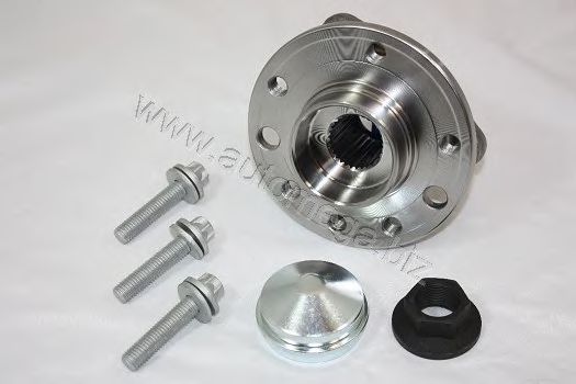 3016030295 AUTOMEGA Wheel Bearing Kit