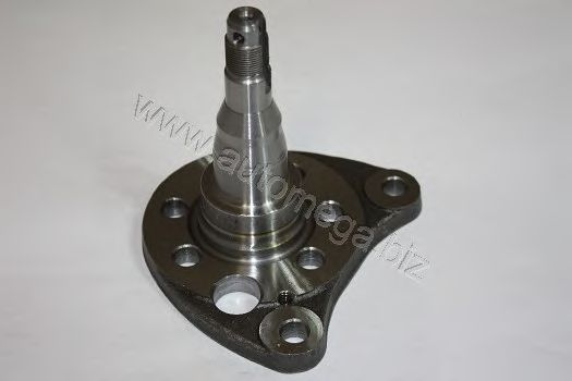 3040706216Q0AB AUTOMEGA Wheel Bearing Kit