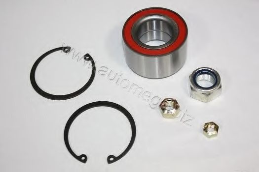 304980625171D AUTOMEGA Wheel Bearing Kit
