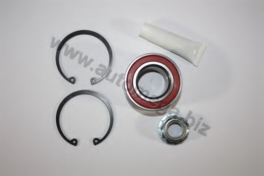 304980625191 AUTOMEGA Wheel Bearing Kit