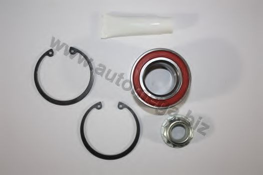 3049806256N0 AUTOMEGA Wheel Bearing Kit