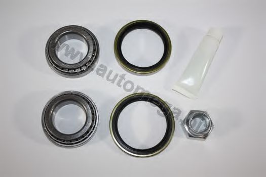 30500070040 AUTOMEGA Wheel Bearing Kit