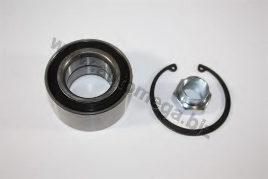 30500240196 AUTOMEGA Wheel Bearing Kit