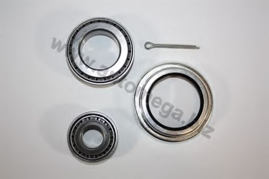 30500250899 AUTOMEGA Wheel Bearing Kit