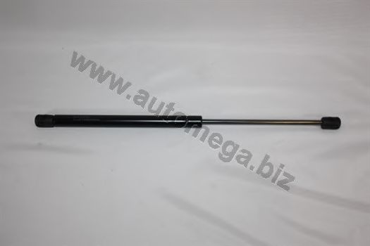 3182705506N0A AUTOMEGA Gas Spring, boot-/cargo area
