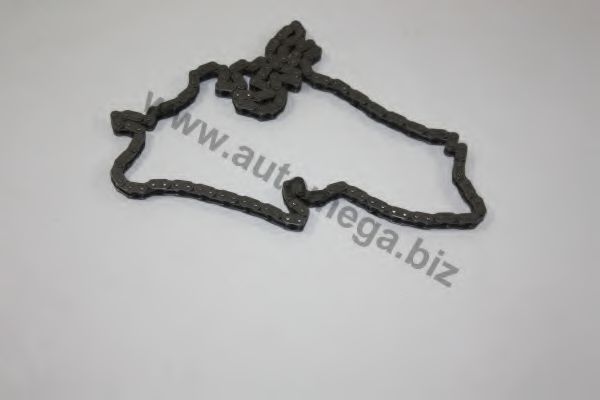 3006360258 AUTOMEGA Timing Chain
