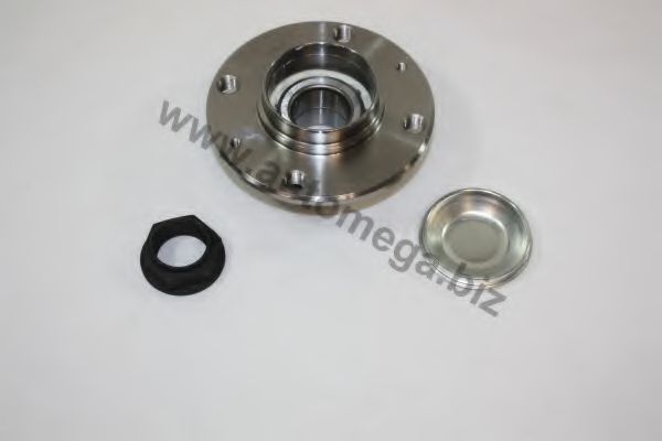 303748043 AUTOMEGA Wheel Bearing Kit