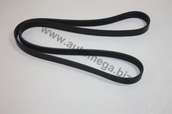 3063400665 AUTOMEGA V-Ribbed Belts