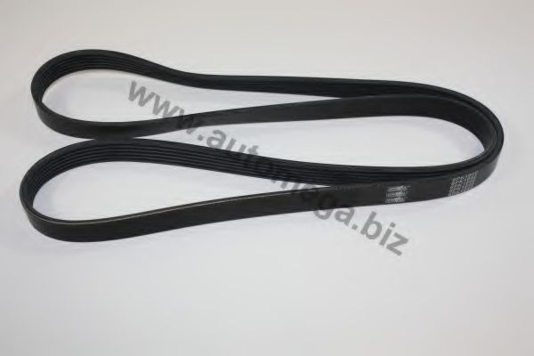 30101020827 AUTOMEGA V-Ribbed Belts