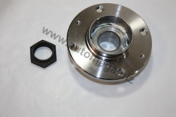 303748028 AUTOMEGA Wheel Bearing Kit