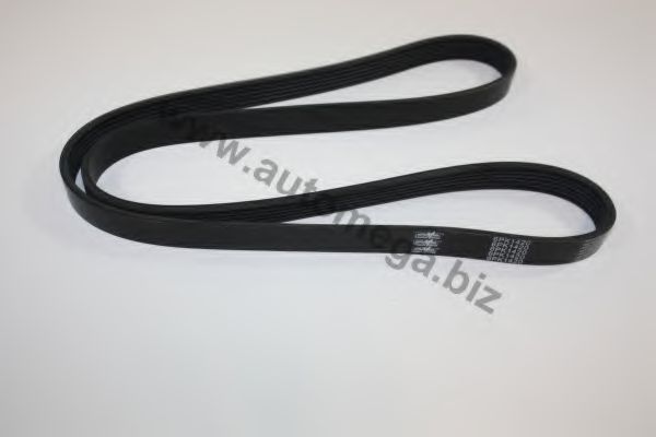 30101330958 AUTOMEGA V-Ribbed Belts