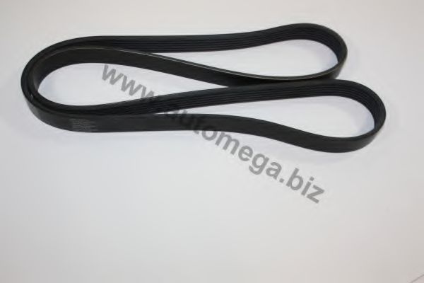 30103080228 AUTOMEGA V-Ribbed Belts