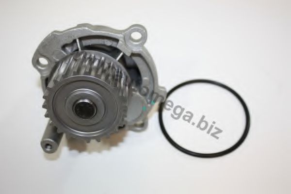 30121001106BM AUTOMEGA Cooling System Water Pump