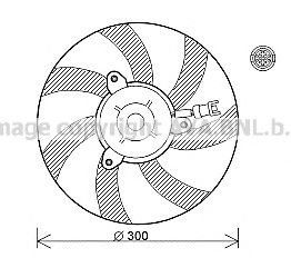 VW7527 PRASCO Fan, radiator