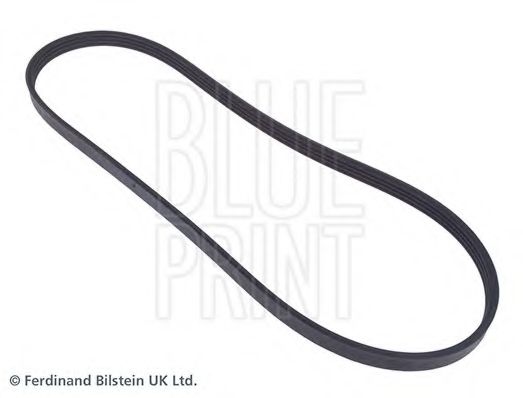 ADC49619 BLUE+PRINT V-Ribbed Belts