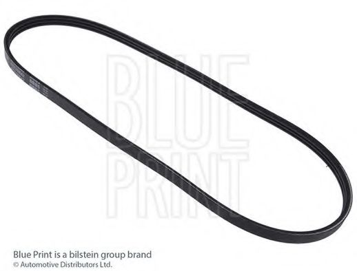 AD03S842 BLUE+PRINT V-Ribbed Belts