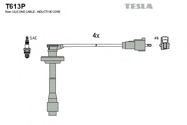 T613P TESLA Ignition Cable Kit