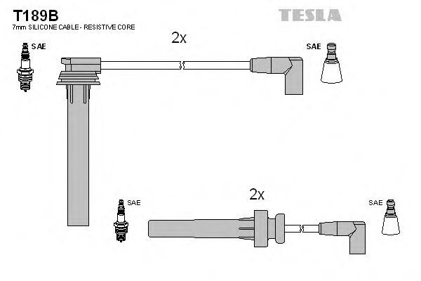T189B TESLA Ignition Cable Kit