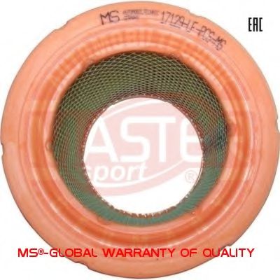 17129-LF-PCS-MS MASTER-SPORT Air Filter