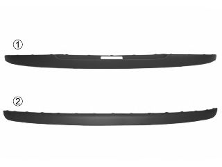1620551 VAN+WEZEL Trim/Protective Strip, bumper