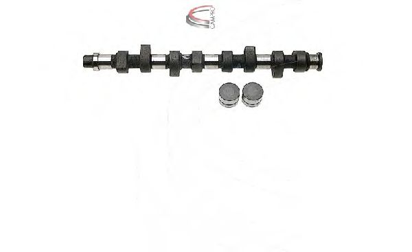 CP60219 CAMPRO Engine Timing Control Camshaft Kit